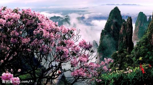 莽山