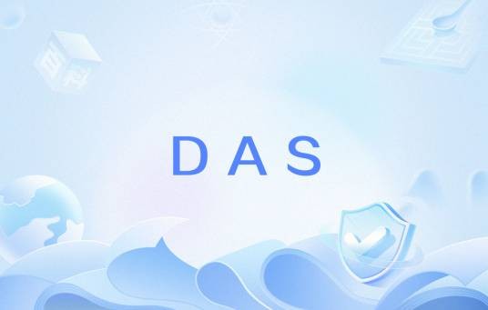 DAS（计算机行业专有名词）