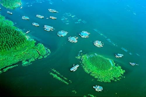 微山湖(中国北方淡水湖)