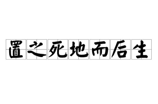 置之死地而后生（成语释义）
