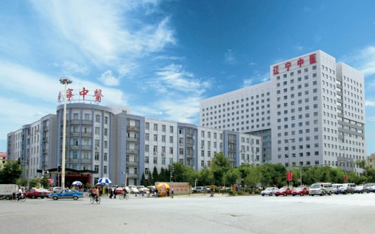 辽宁中医药大学附属医院