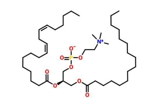 多烯磷酸酰胆碱