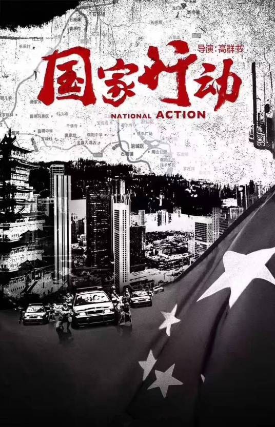 国家行动（高群书、常猛执导的犯罪剧）
