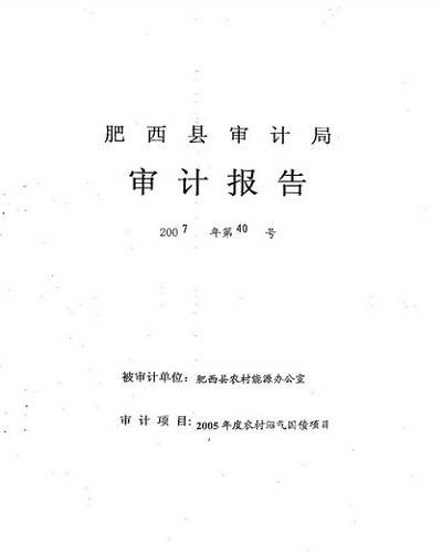 审计报告（会计学领域的概念）