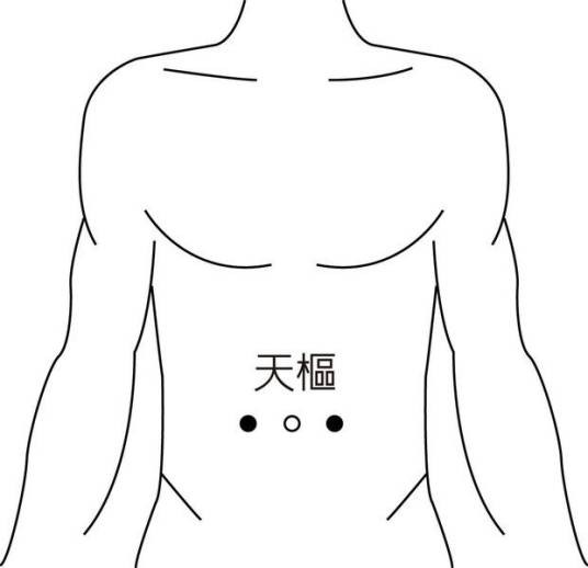 天枢(足阳明胃经上的腧穴)