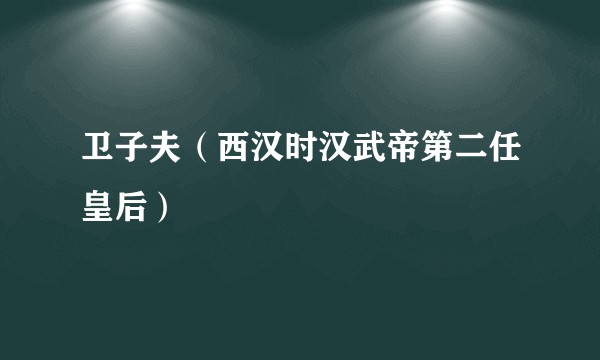 卫子夫（西汉时汉武帝第二任皇后）