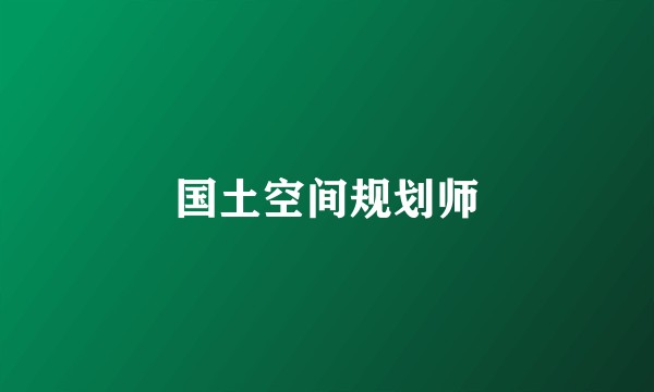国土空间规划师