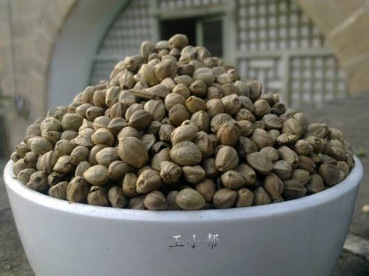 麻子（一种食品，甘陕特产）