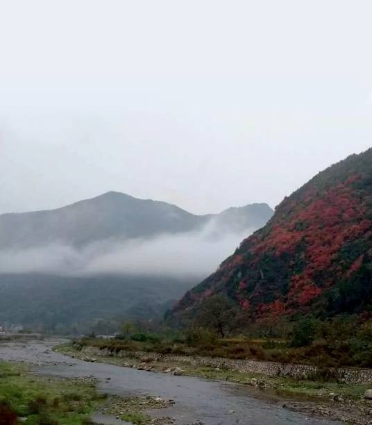 洛河（长江支流嘉陵江的支流）