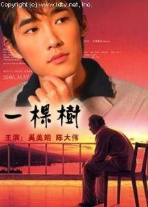 一棵树（1996年周友朝执导的剧情电影）