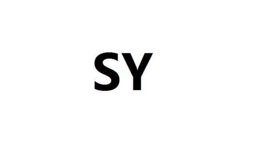 SY（英文缩写）