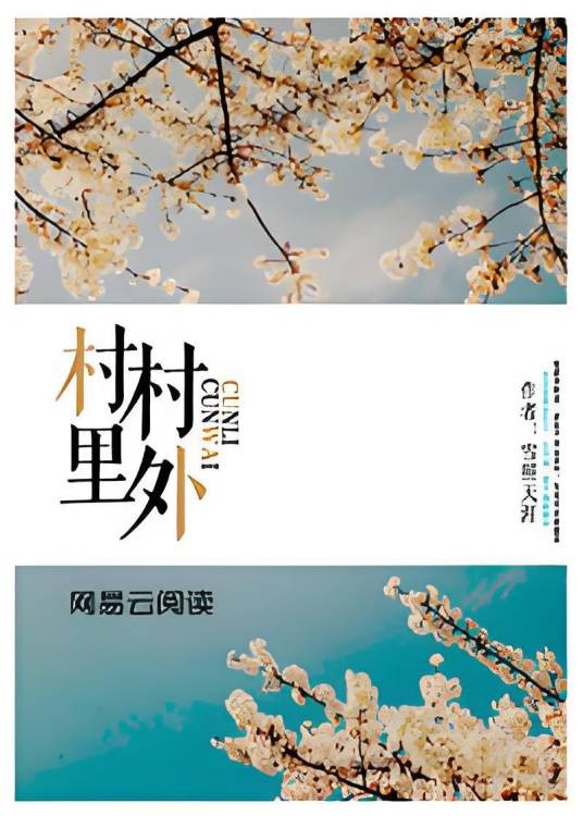村里村外（雪照天涯创作的都市类网络小说）
