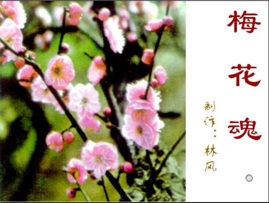 梅花魂(陈慧瑛创作散文)