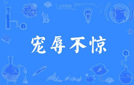 宠辱不惊