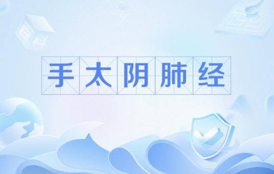手太阴肺经