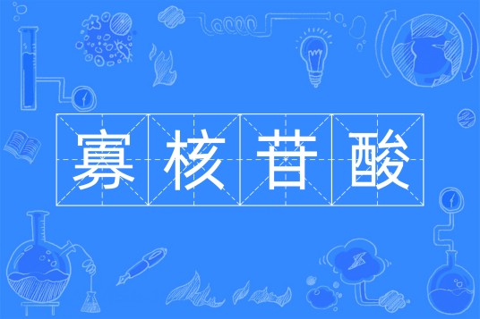 寡核苷酸