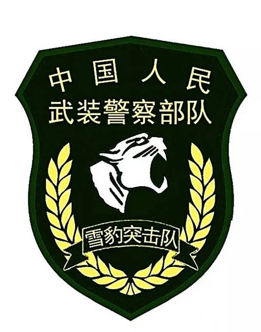 雪豹突击队