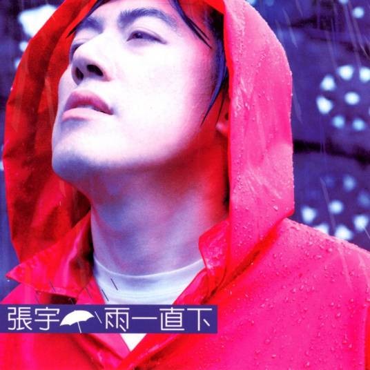 雨一直下(1999年张宇演唱的歌曲)