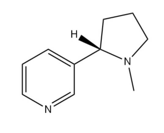 尼古丁(一种存在于茄科植物(茄属)中的生物碱)