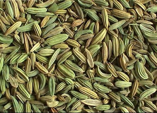 小茴香（中药）