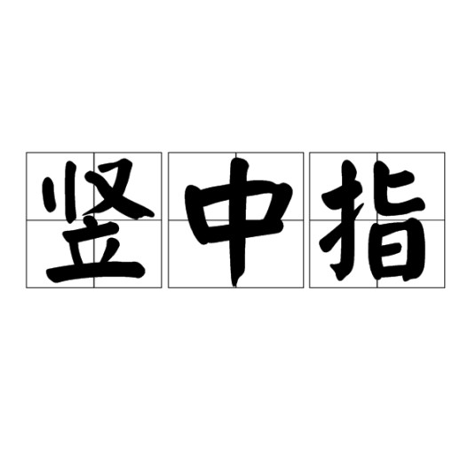 竖中指