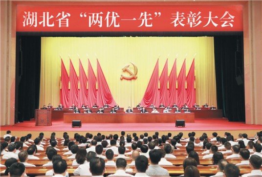 两优一先