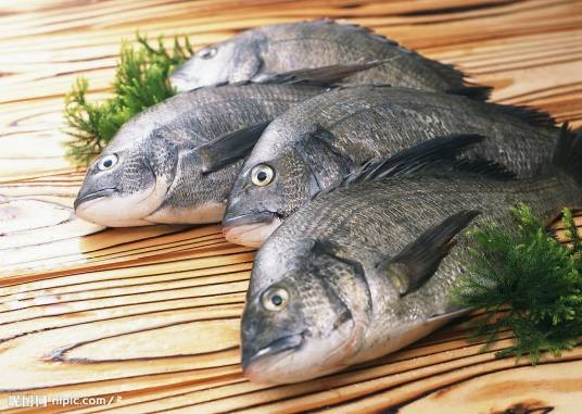 水产（江河湖海里出产的经济动植物）