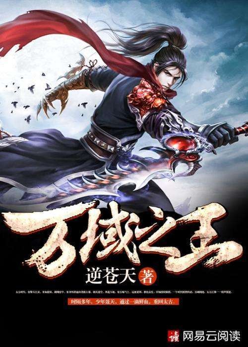 万域之王(逆苍天创作的网络小说)