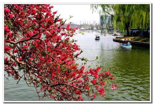 三月桃花水(散文)