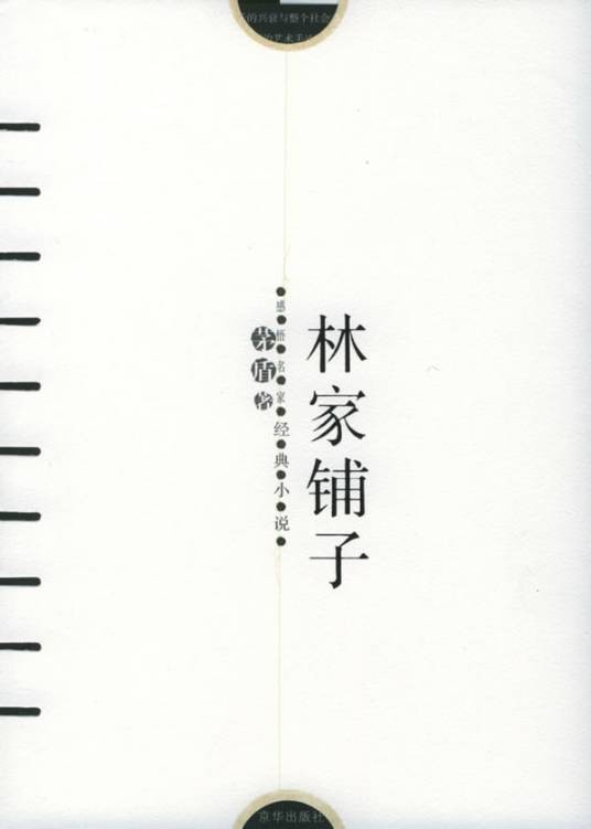 林家铺子（茅盾著小说）