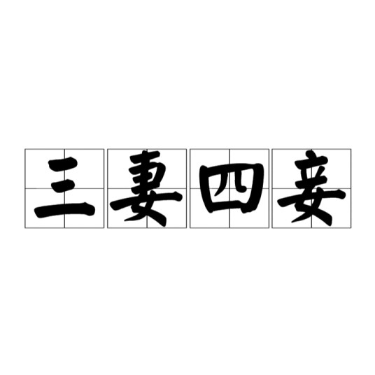 三妻四妾（汉语成语）