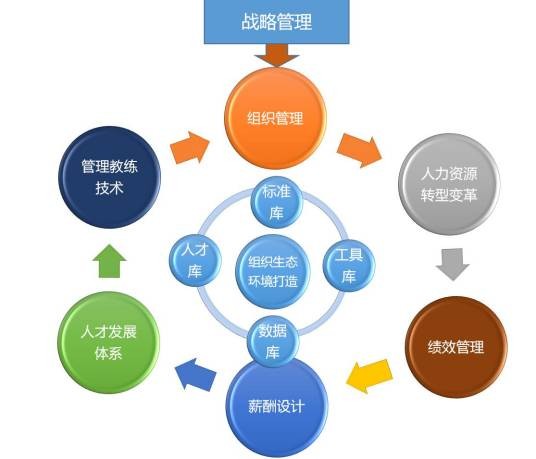 人才管理(人才管理概念)