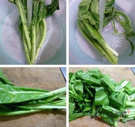 天菜(十字花科芸薹属植物)