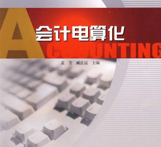 会计电算化(会计学下属学科)