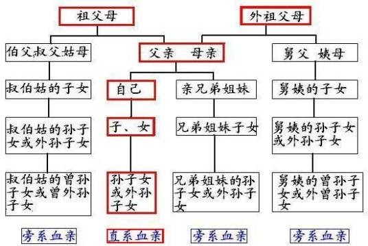 三代旁系血亲