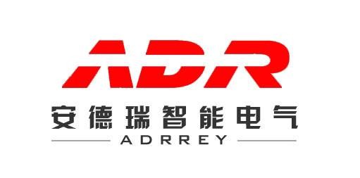 ADR(公司名称)