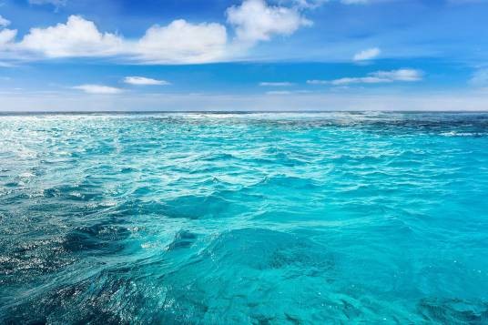 海洋(地球科学名词)