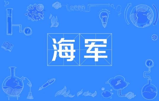 海军(在海洋水面作战的军种)