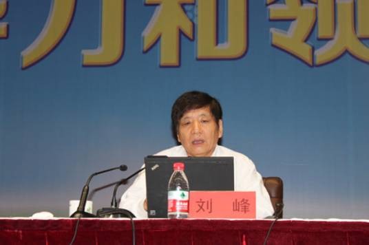 刘峰(国家行政学院和北京大学管理学教授)