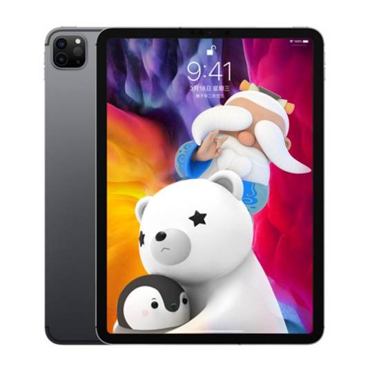 iPad Pro 2020