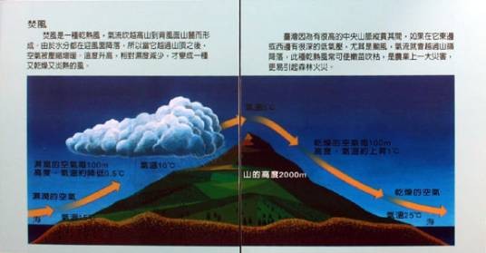 焚风（气象名词）