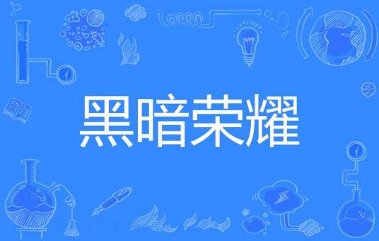黑暗荣耀（普天一害创作的奇幻类网络小说）
