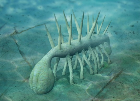 怪诞虫（古生物）