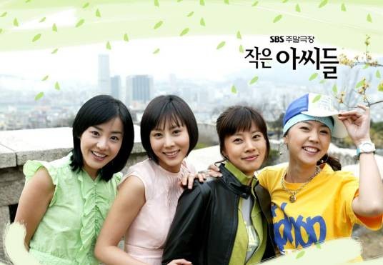 小妇人(韩国2004年朴艺珍主演SBS电视剧)