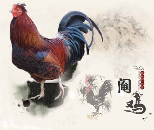 阉鸡