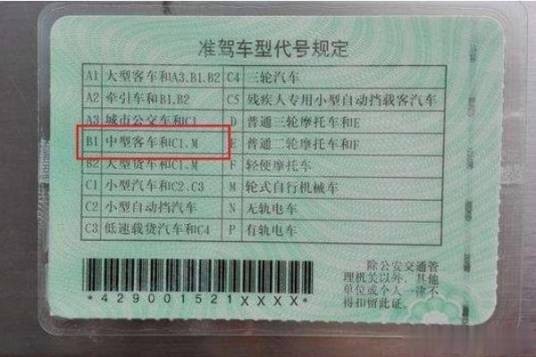 B1驾驶证