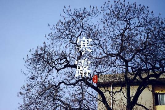 寒露（二十四节气之一）