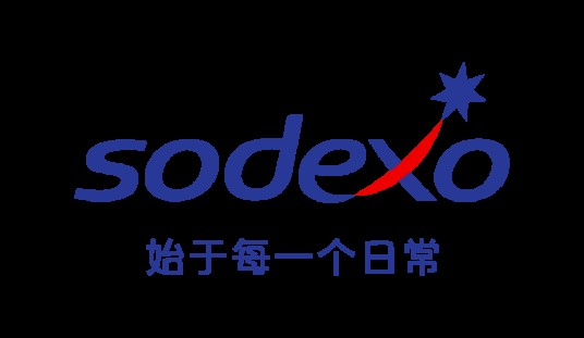 索迪斯集团