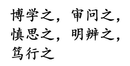 博学之，审问之，慎思之，明辨之，笃行之