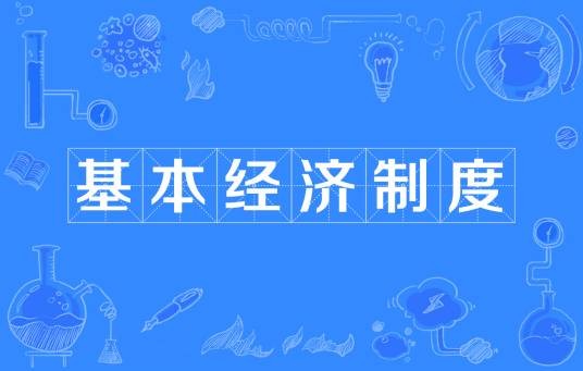 基本经济制度（社会经济在生产关系中最基本的规定）